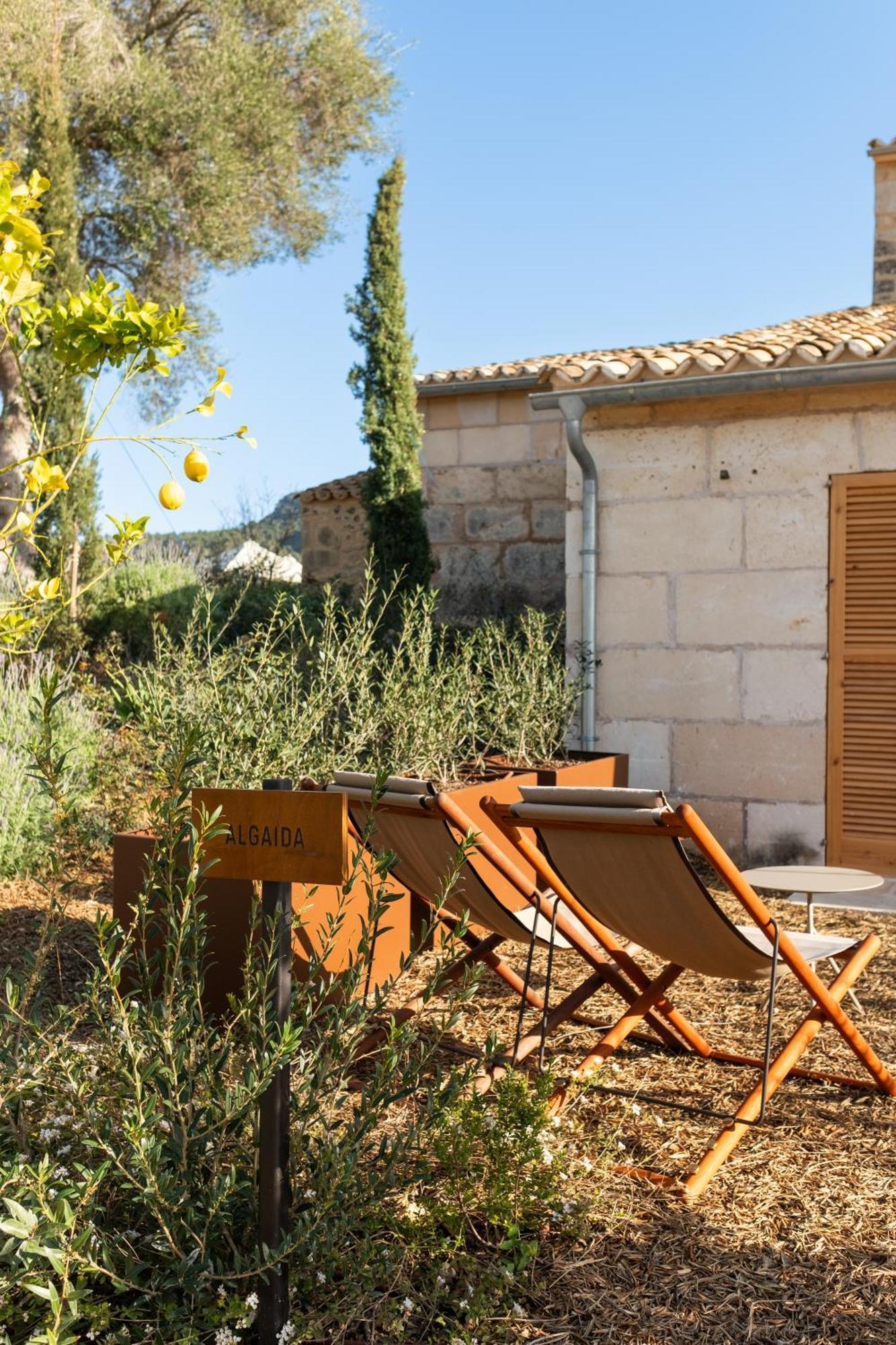 Fincahotel Treurer - Olive Grove & Grand House - Adults Only Algaida  Exterior photo